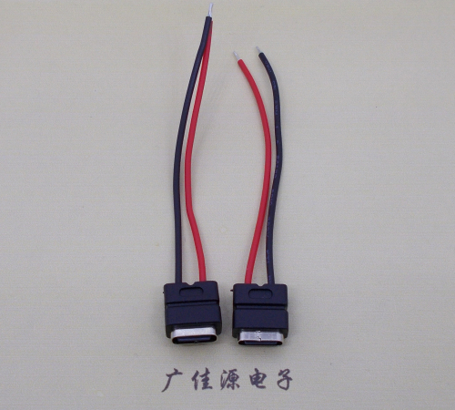 浙江type c2p防水母座焊线式带线注塑成型带接线端子/不带接线端子充电连接器