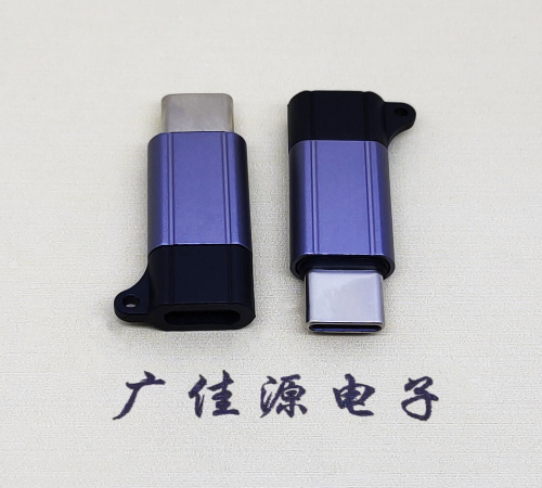 浙江Type-C母转Type-C公 USB3.1 PD100W快冲接口